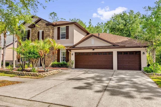 16117 COLCHESTER PALMS DRIVE, Tampa, FL 33647