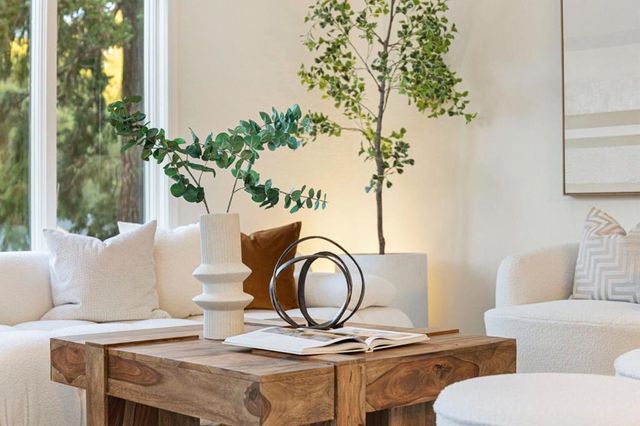 2937 San Juan Boulevard, Belmont, CA 94002