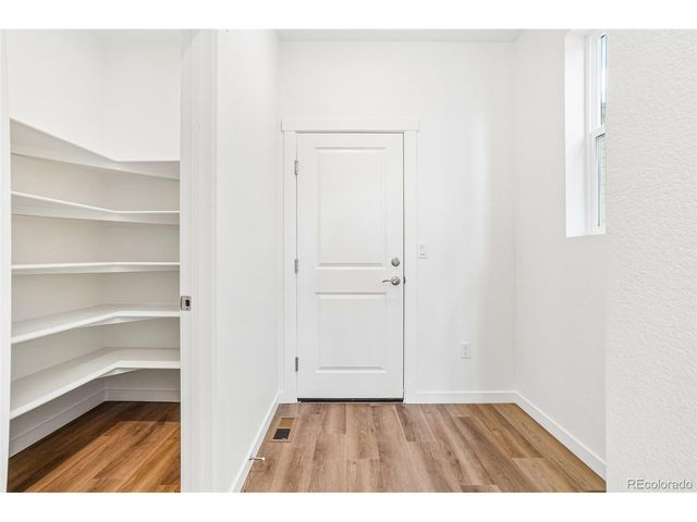 1466 Boyle St, Windsor, CO 80550