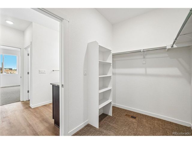 1466 Boyle St, Windsor, CO 80550
