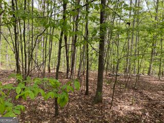 2A Curry Falls Trail, Athens, GA 30607