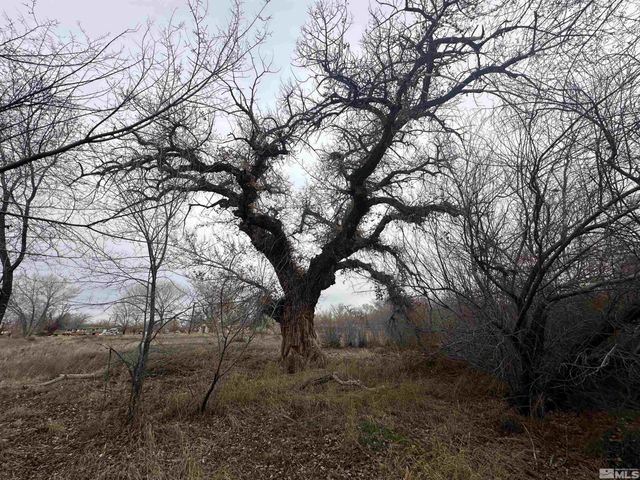 3275 Alcorn Road, Fallon, NV 89406