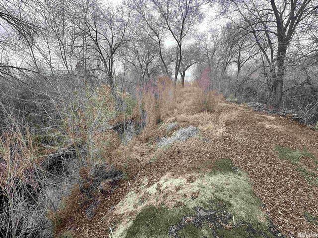 3275 Alcorn Road, Fallon, NV 89406