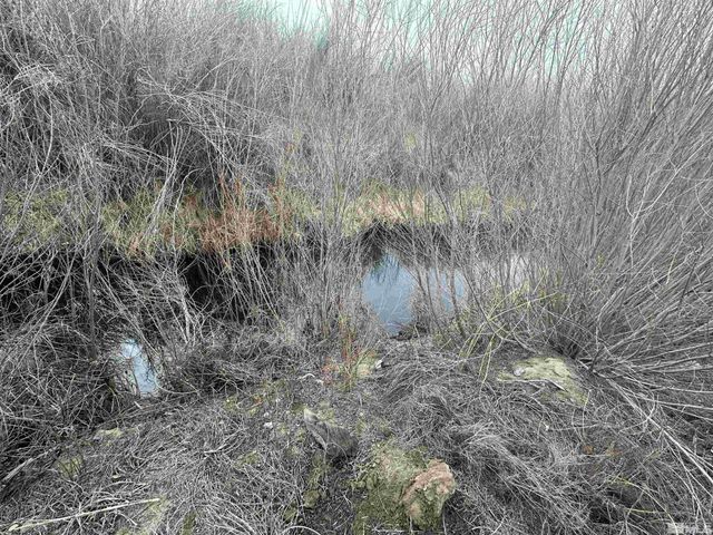 3275 Alcorn Road, Fallon, NV 89406