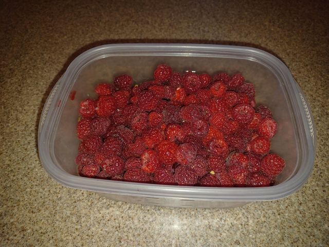 4838 Crown Lane, Woodbury, MN 55129