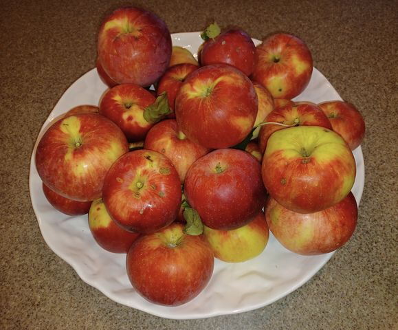 4838 Crown Lane, Woodbury, MN 55129