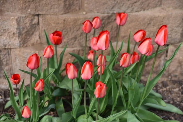 4838 Crown Lane, Woodbury, MN 55129