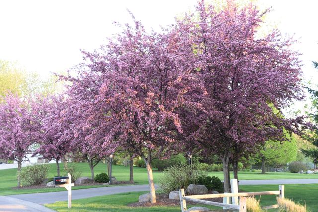 4838 Crown Lane, Woodbury, MN 55129