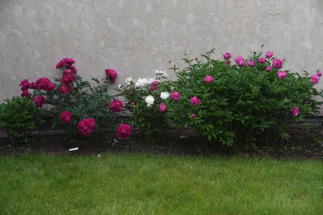 4838 Crown Lane, Woodbury, MN 55129