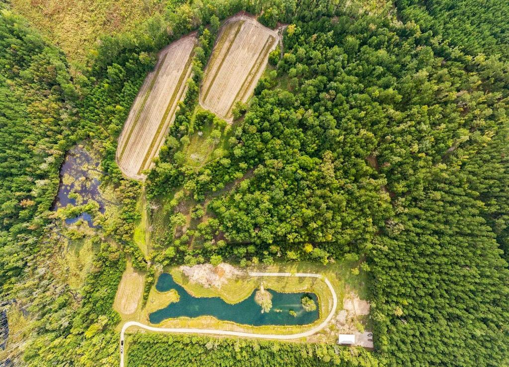 TBD Bratcher Rd., Conway, SC 29526 — exterior