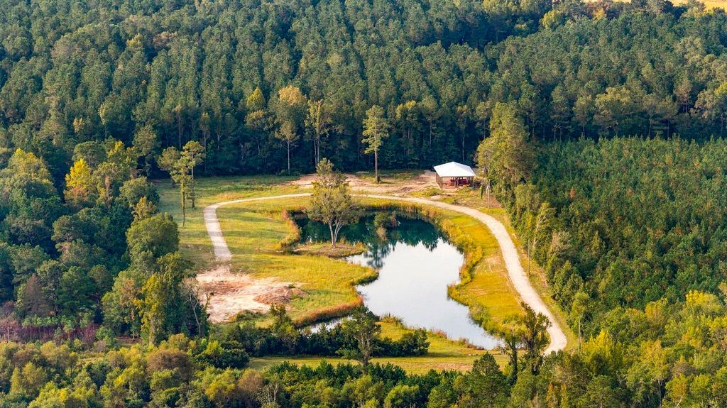 TBD Bratcher Rd., Conway, SC 29526 — photo 2