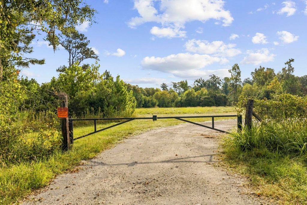 TBD Bratcher Rd., Conway, SC 29526 — photo 4