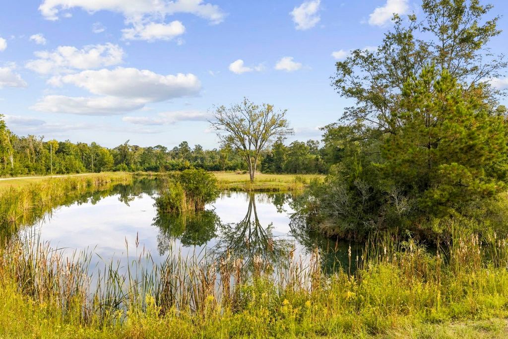 TBD Bratcher Rd., Conway, SC 29526 — photo 5