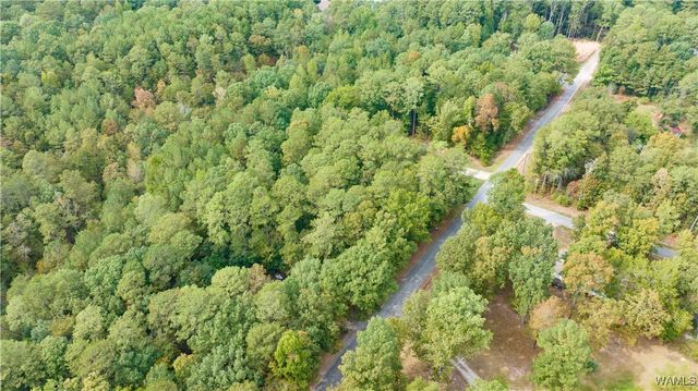 0 Teddy, Mccalla, AL 35111