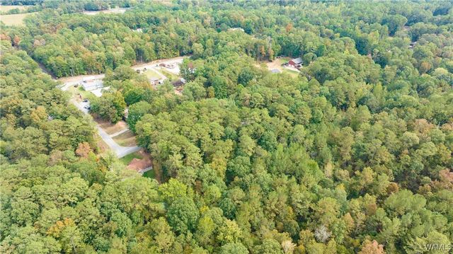 0 Teddy, Mccalla, AL 35111