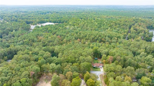 0 Teddy, Mccalla, AL 35111