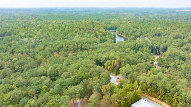 0 Teddy, Mccalla, AL 35111