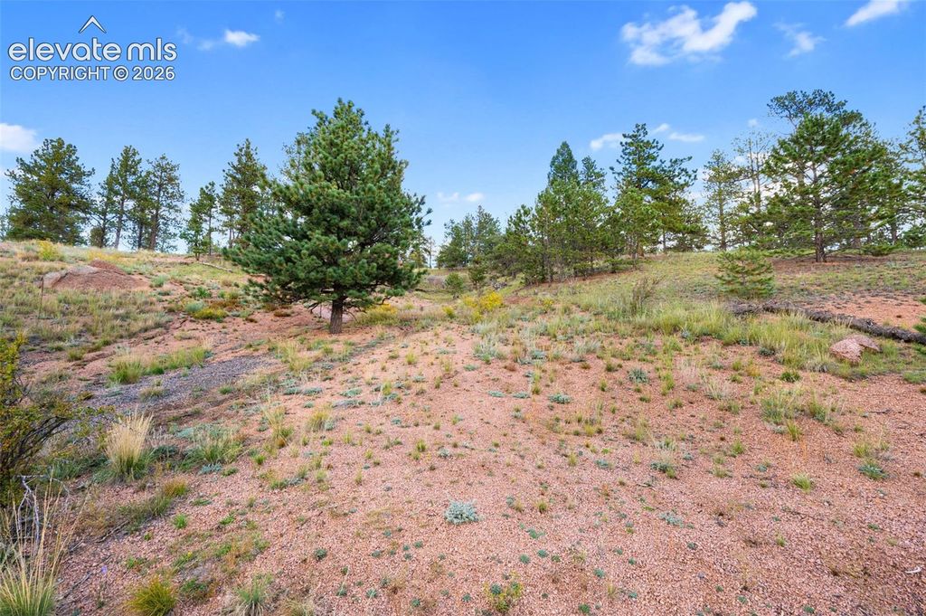 28 Pinnacle Circle, Florissant, CO 80816 — exterior
