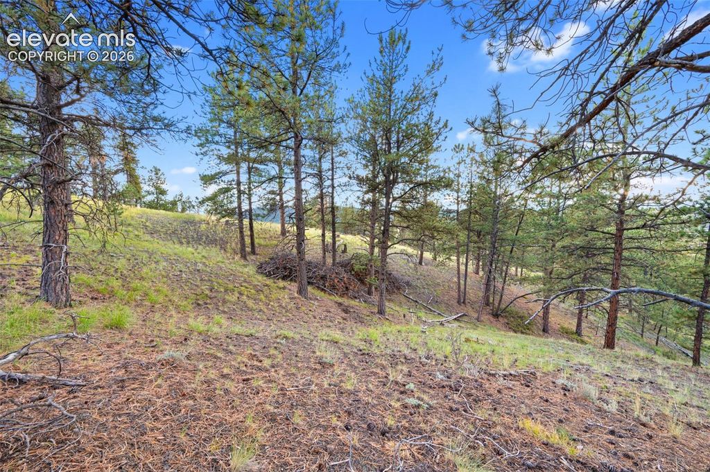 28 Pinnacle Circle, Florissant, CO 80816 — photo 3