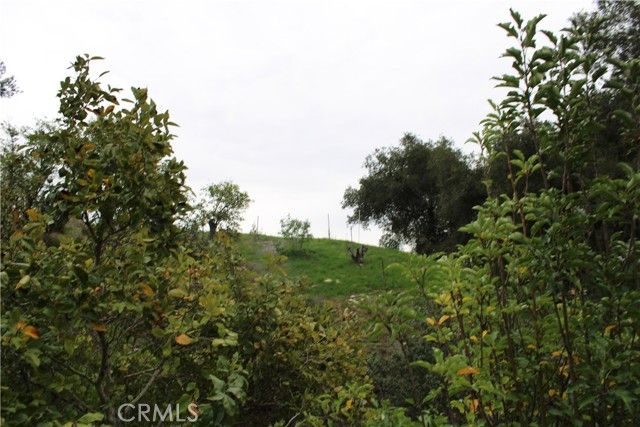 0 Buena Vista, Temecula, CA 92590