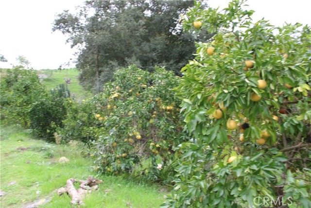 0 Buena Vista, Temecula, CA 92590