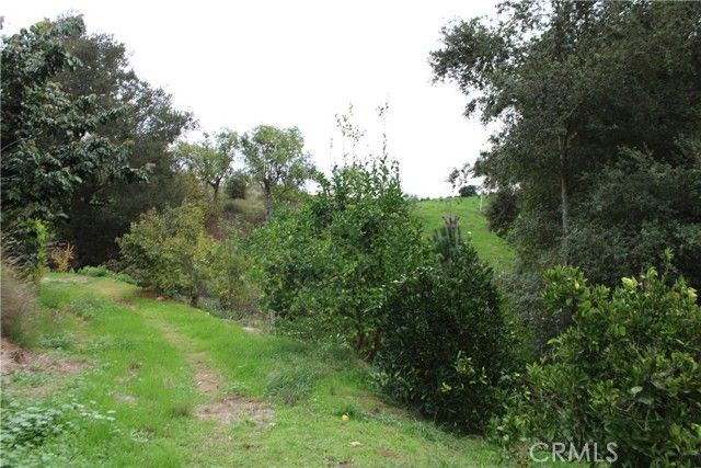 0 Buena Vista, Temecula, CA 92590