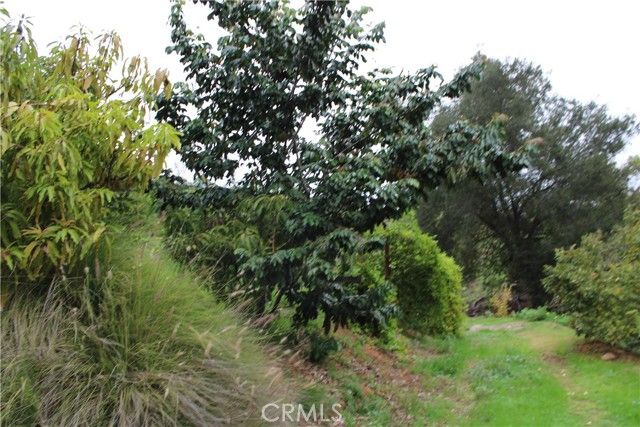 0 Buena Vista, Temecula, CA 92590