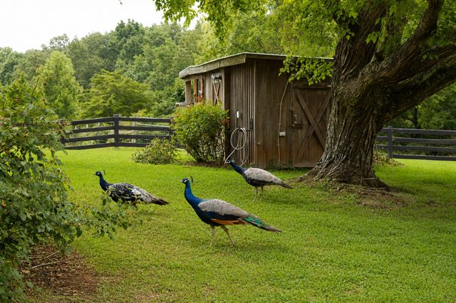 222 Oaks Rd, Ethridge, TN 38456