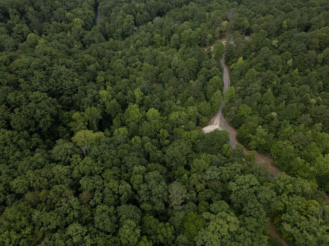 0 Dogwood Hollow Drive, Old Fort, TN 37362