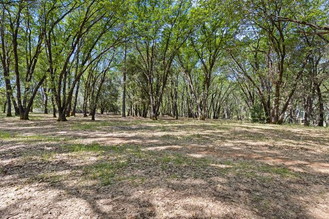 1040 Gladycon Rd, Colfax, CA 95713
