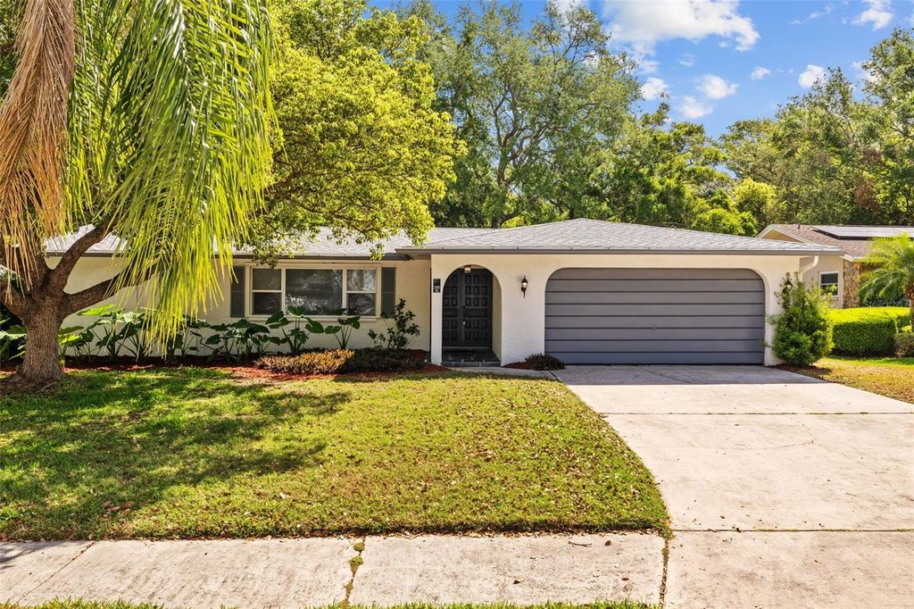 1905 ORO COURT, Clearwater, FL 33764