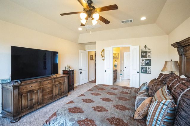 441 Mistflower Springs DR, Leander, TX 78641