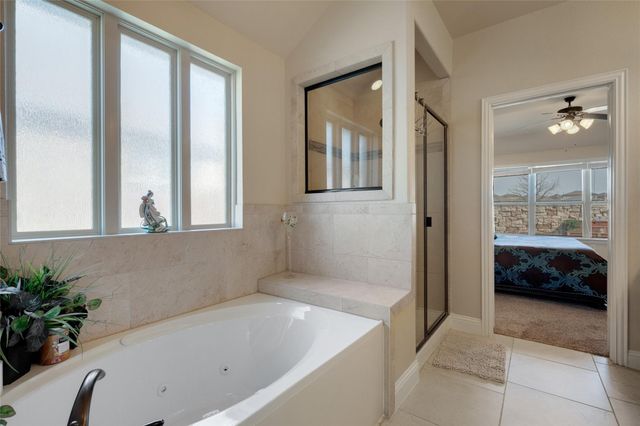 441 Mistflower Springs DR, Leander, TX 78641