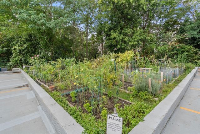 250 Hammond Pond Pkwy 1002N, Newton, MA 02467