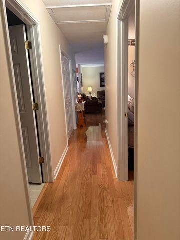 139 Butterfly Lane, Heiskell, TN 37754