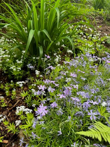 834 Borough Road, Pembroke, NH 03275