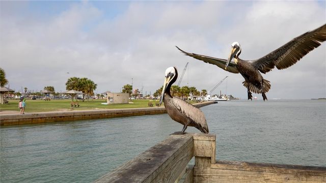 230 Cut Off 217, Port Aransas, TX 78373