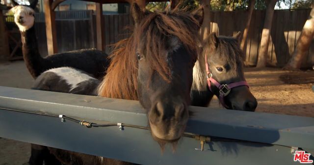 4750 Encino Avenue, Encino (los Angeles), CA 91316