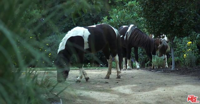 4750 Encino Avenue, Encino (los Angeles), CA 91316