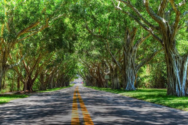 226 Moccasin Trail W, Jupiter, FL 33458