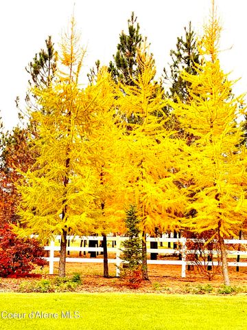 2019 E Brunner RD, Athol, ID 83801