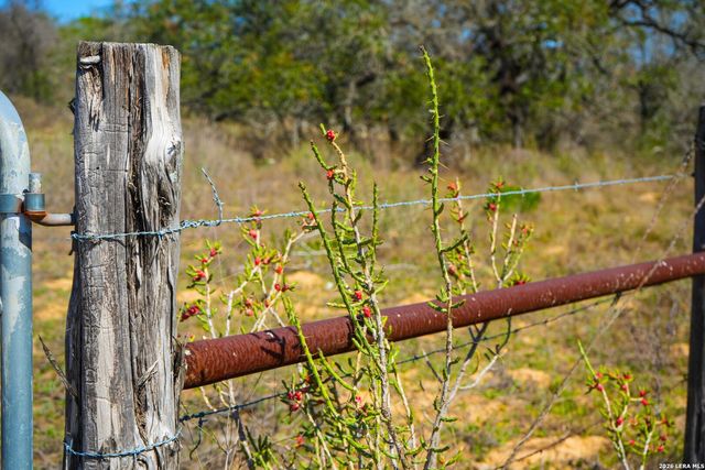 9521 Fm 1303, Floresville, TX 78114