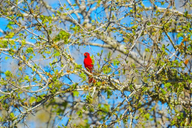 9521 Fm 1303, Floresville, TX 78114