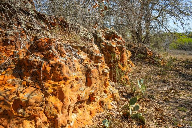 9521 Fm 1303, Floresville, TX 78114