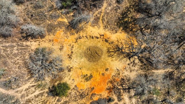 9521 Fm 1303, Floresville, TX 78114