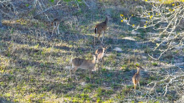 9521 Fm 1303, Floresville, TX 78114