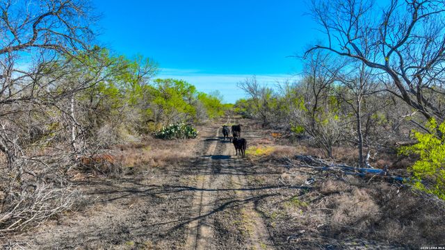 9521 Fm 1303, Floresville, TX 78114