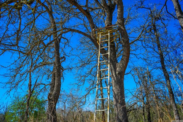 9521 Fm 1303, Floresville, TX 78114