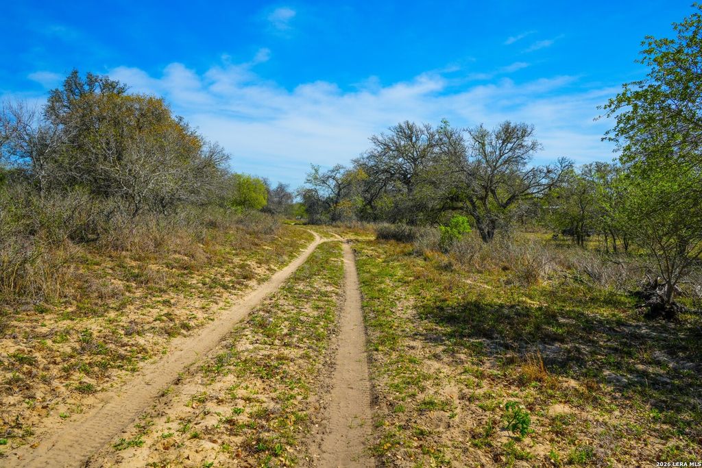 9521 Fm 1303, Floresville, TX 78114