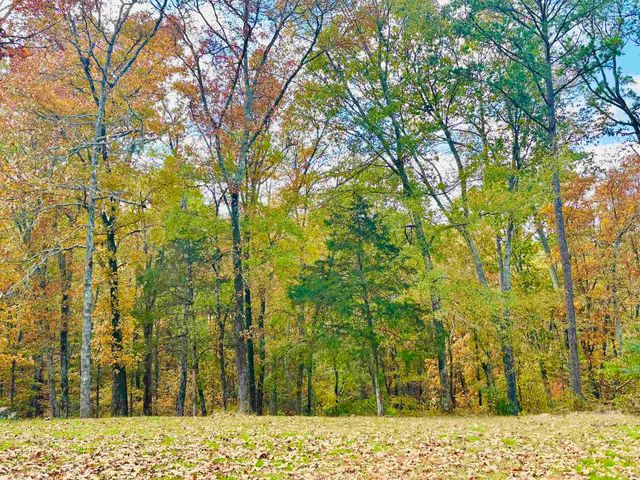 6575 Banner Mountain Road, Shirley, AR 72153